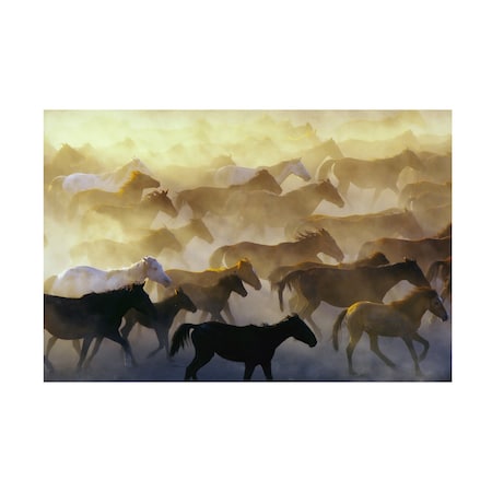 Emir Bagci 'Wild Horses' Canvas Art, 30x47
